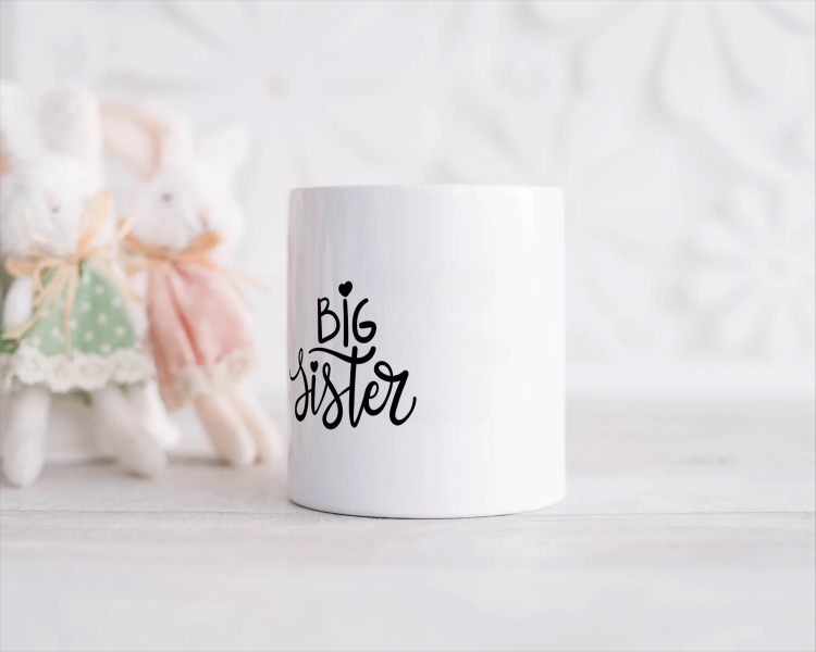big sister Spaarpot